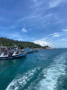 Diving Koh Tao | Scuba Birds PADI Dive Center thumb 5